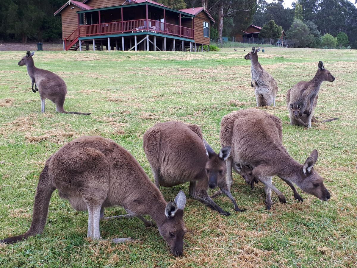 Walpole Wilderness Resort Esterno foto